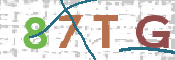 CAPTCHA (Şahıs Denetim Kodu) Resmi
