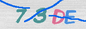 CAPTCHA (Şahıs Denetim Kodu) Resmi