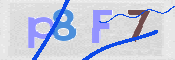 CAPTCHA (Şahıs Denetim Kodu) Resmi