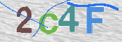 CAPTCHA (Şahıs Denetim Kodu) Resmi