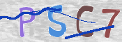 CAPTCHA (Şahıs Denetim Kodu) Resmi