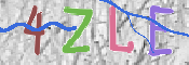 CAPTCHA (Şahıs Denetim Kodu) Resmi