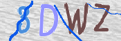 CAPTCHA (Şahıs Denetim Kodu) Resmi