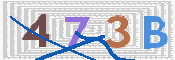 CAPTCHA (Şahıs Denetim Kodu) Resmi