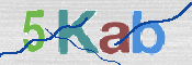 CAPTCHA (Şahıs Denetim Kodu) Resmi