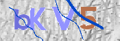 CAPTCHA (Şahıs Denetim Kodu) Resmi