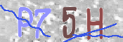 CAPTCHA (Şahıs Denetim Kodu) Resmi