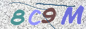CAPTCHA (Şahıs Denetim Kodu) Resmi