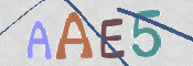 CAPTCHA (Şahıs Denetim Kodu) Resmi