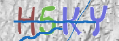 CAPTCHA (Şahıs Denetim Kodu) Resmi