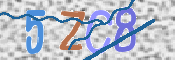 CAPTCHA (Şahıs Denetim Kodu) Resmi