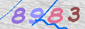 CAPTCHA (Şahıs Denetim Kodu) Resmi