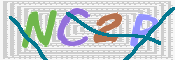 CAPTCHA (Şahıs Denetim Kodu) Resmi