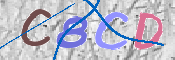 CAPTCHA (Şahıs Denetim Kodu) Resmi