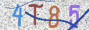 CAPTCHA (Şahıs Denetim Kodu) Resmi