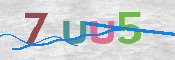 CAPTCHA (Şahıs Denetim Kodu) Resmi