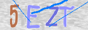 CAPTCHA (Şahıs Denetim Kodu) Resmi