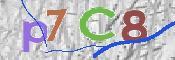 CAPTCHA (Şahıs Denetim Kodu) Resmi