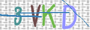 CAPTCHA (Şahıs Denetim Kodu) Resmi
