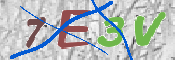 CAPTCHA (Şahıs Denetim Kodu) Resmi