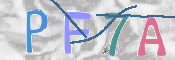 CAPTCHA (Şahıs Denetim Kodu) Resmi