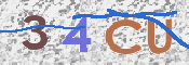 CAPTCHA (Şahıs Denetim Kodu) Resmi