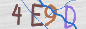 CAPTCHA (Şahıs Denetim Kodu) Resmi