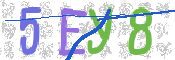 CAPTCHA (Şahıs Denetim Kodu) Resmi