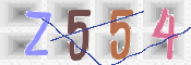 CAPTCHA (Şahıs Denetim Kodu) Resmi