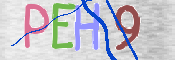 CAPTCHA (Şahıs Denetim Kodu) Resmi