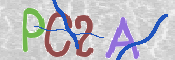 CAPTCHA (Şahıs Denetim Kodu) Resmi