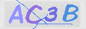 CAPTCHA (Şahıs Denetim Kodu) Resmi