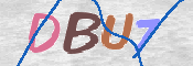 CAPTCHA (Şahıs Denetim Kodu) Resmi
