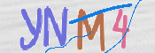 CAPTCHA (Şahıs Denetim Kodu) Resmi