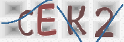 CAPTCHA (Şahıs Denetim Kodu) Resmi