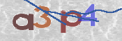 CAPTCHA (Şahıs Denetim Kodu) Resmi