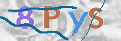 CAPTCHA (Şahıs Denetim Kodu) Resmi