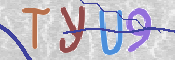 CAPTCHA (Şahıs Denetim Kodu) Resmi