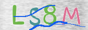 CAPTCHA (Şahıs Denetim Kodu) Resmi