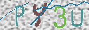 CAPTCHA (Şahıs Denetim Kodu) Resmi