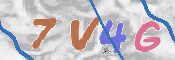 CAPTCHA (Şahıs Denetim Kodu) Resmi