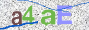 CAPTCHA (Şahıs Denetim Kodu) Resmi