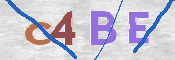 CAPTCHA (Şahıs Denetim Kodu) Resmi