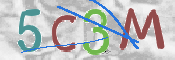 CAPTCHA (Şahıs Denetim Kodu) Resmi