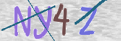 CAPTCHA (Şahıs Denetim Kodu) Resmi