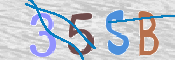 CAPTCHA (Şahıs Denetim Kodu) Resmi