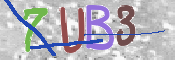 CAPTCHA (Şahıs Denetim Kodu) Resmi
