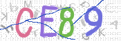 CAPTCHA (Şahıs Denetim Kodu) Resmi