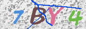 CAPTCHA (Şahıs Denetim Kodu) Resmi