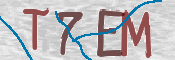 CAPTCHA (Şahıs Denetim Kodu) Resmi